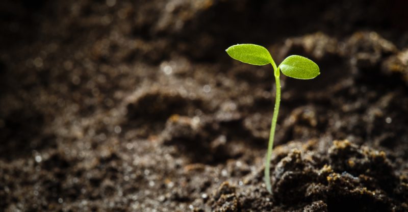 Capitolo Due – Le&nbsp;origini